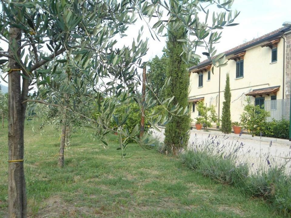 Nenna Country Bed and Breakfast Capua Buitenkant foto
