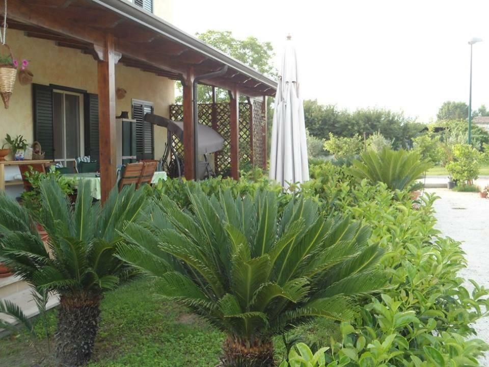 Nenna Country Bed and Breakfast Capua Buitenkant foto