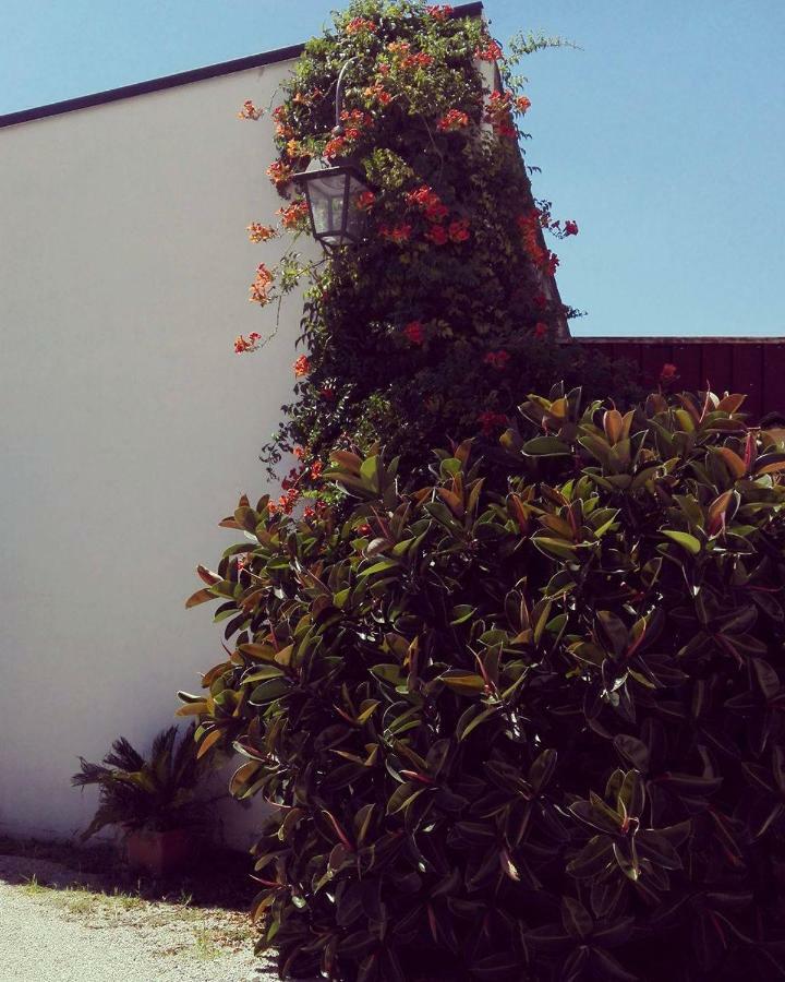 Nenna Country Bed and Breakfast Capua Buitenkant foto